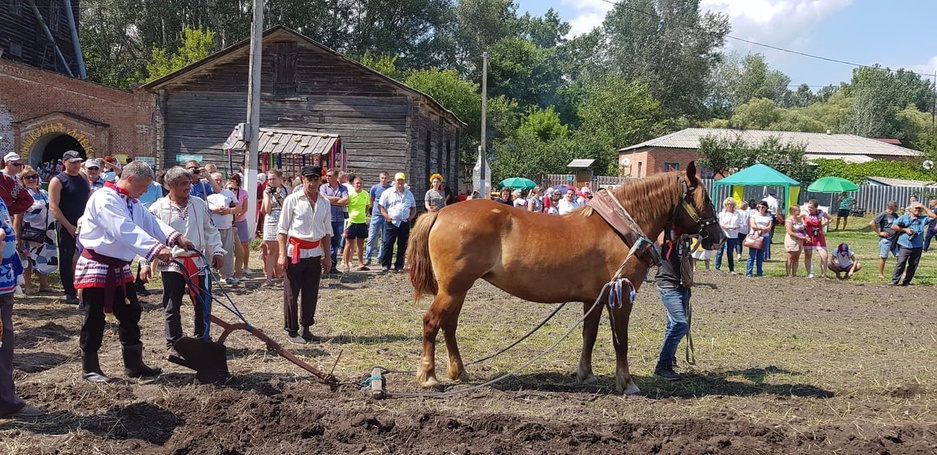 Погода село новоивановка. Новоивановка Волоконовский район. Хутор Давыдкин Волоконовский район. Село Новоивановка Волоконовский район. Село Тишанка Белгородская область Волоконовский район.